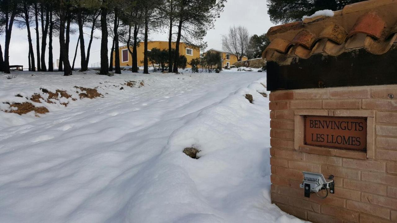 Complejo Rural Las Lomas De ביאר מראה חיצוני תמונה