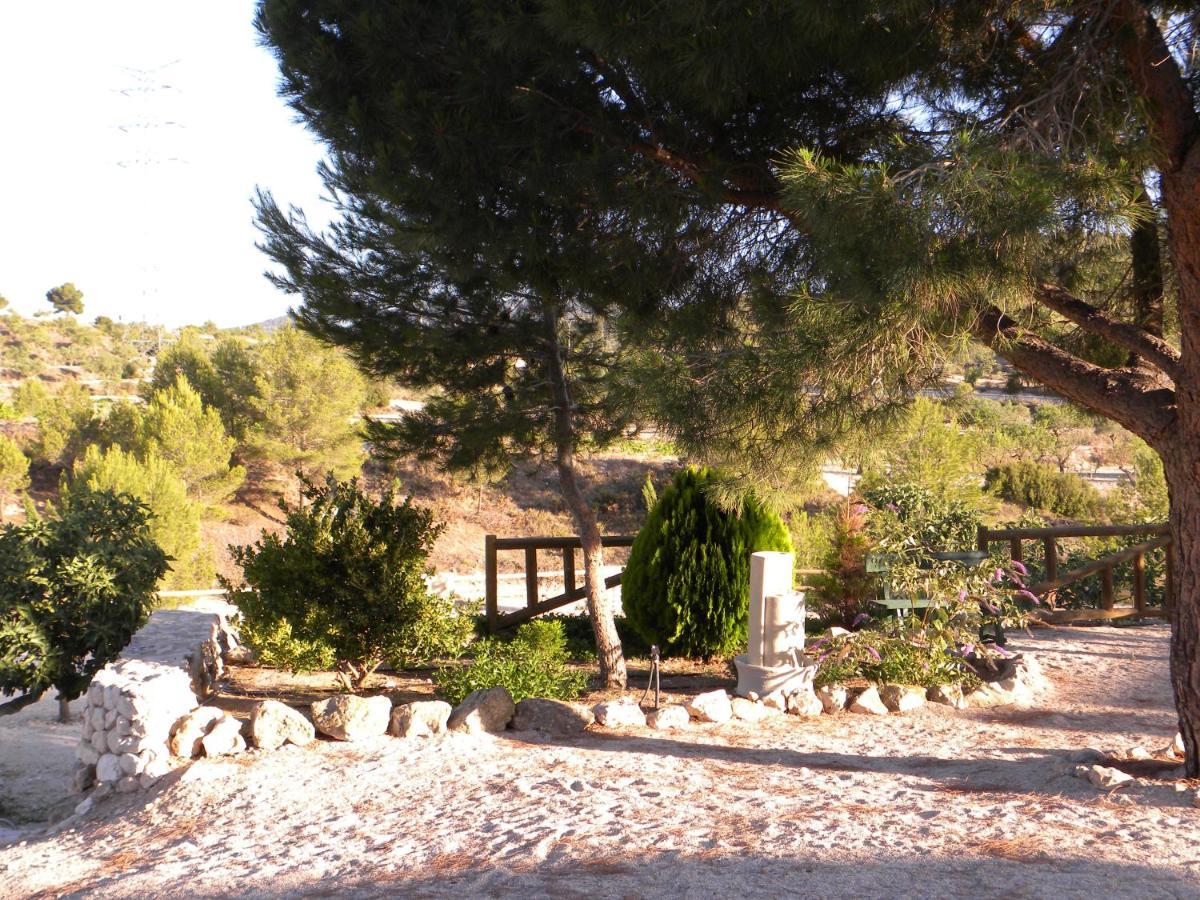 Complejo Rural Las Lomas De ביאר מראה חיצוני תמונה