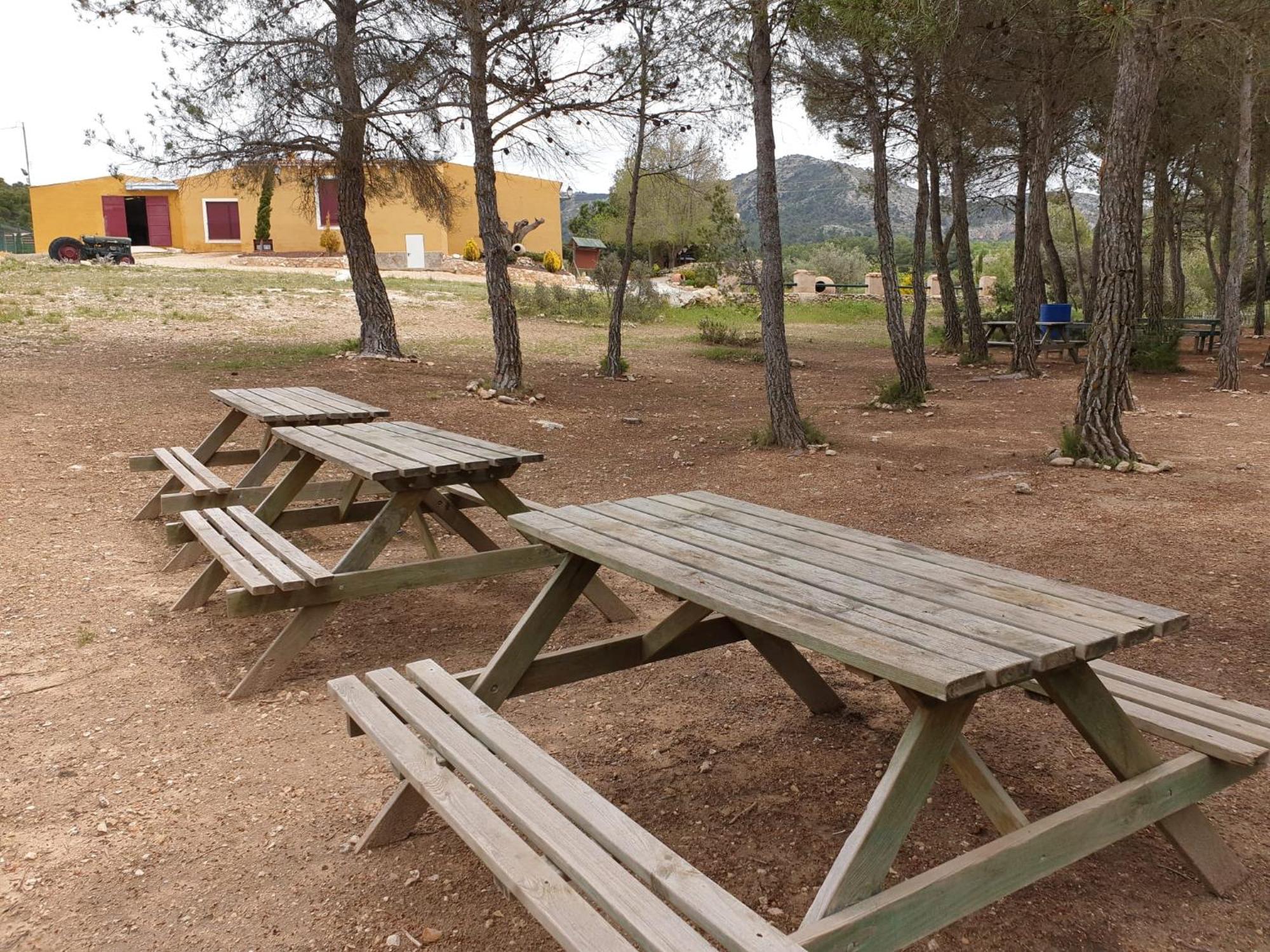 Complejo Rural Las Lomas De ביאר מראה חיצוני תמונה