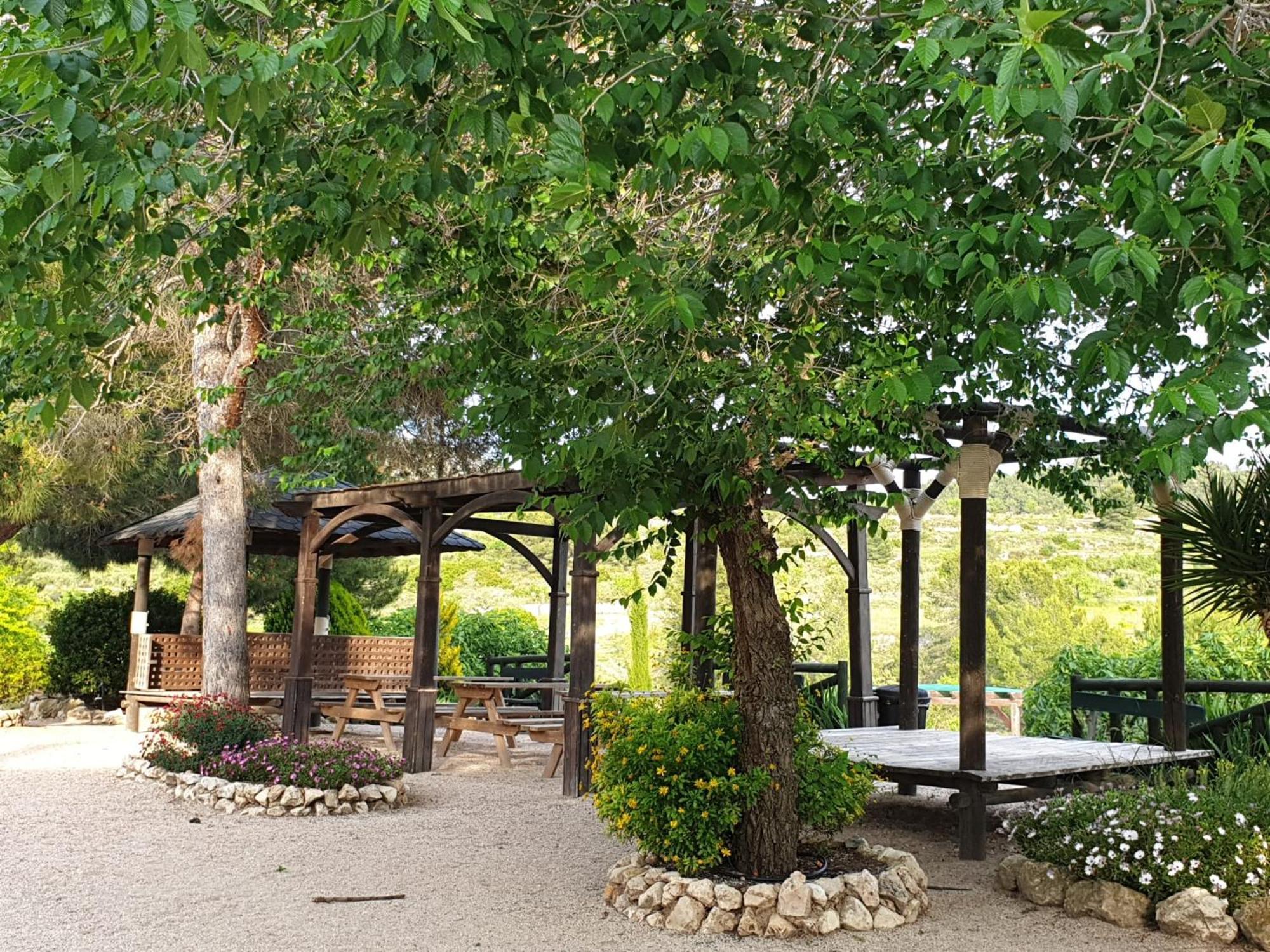 Complejo Rural Las Lomas De ביאר מראה חיצוני תמונה